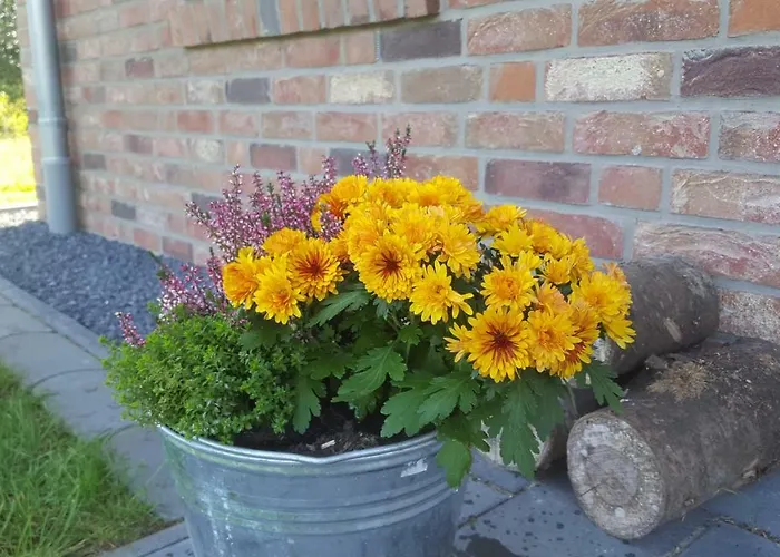 Emsdüne * Oberlangen